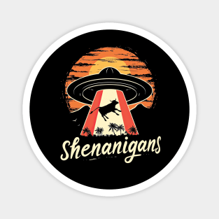 Shenanigans Magnet